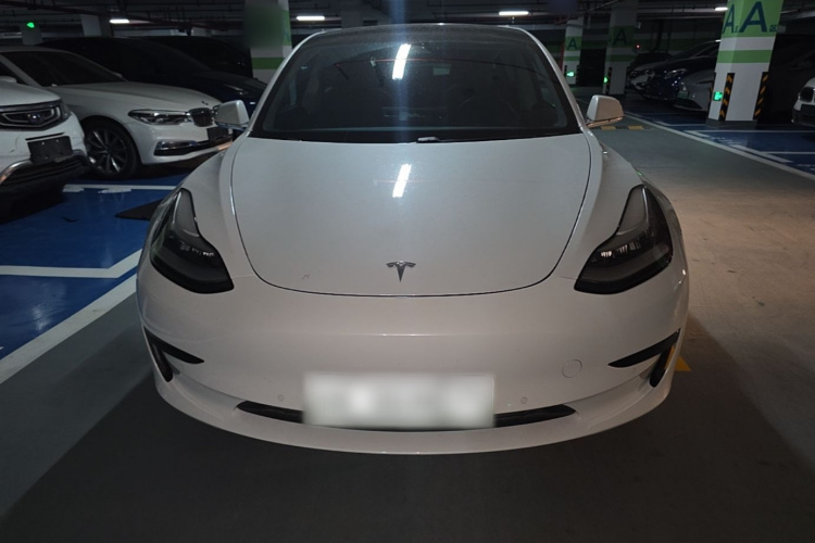 Tesla Model 3 2020 #3 Tesla Model 3 2020 car image #3