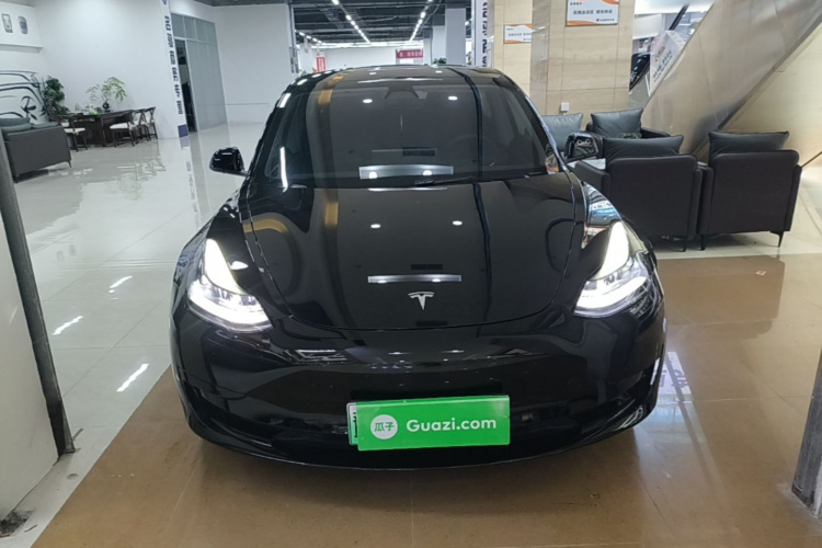 Tesla Model 3 2021 #3 Tesla Model 3 2021 immagine di auto #3