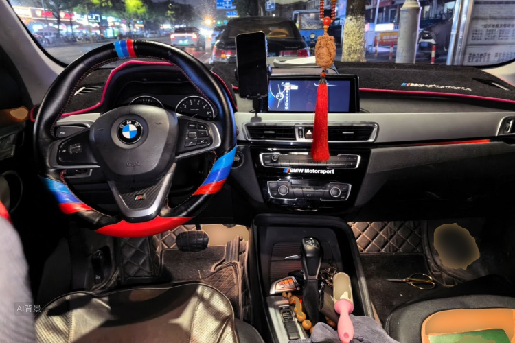 BMW X1 2016 car image #11