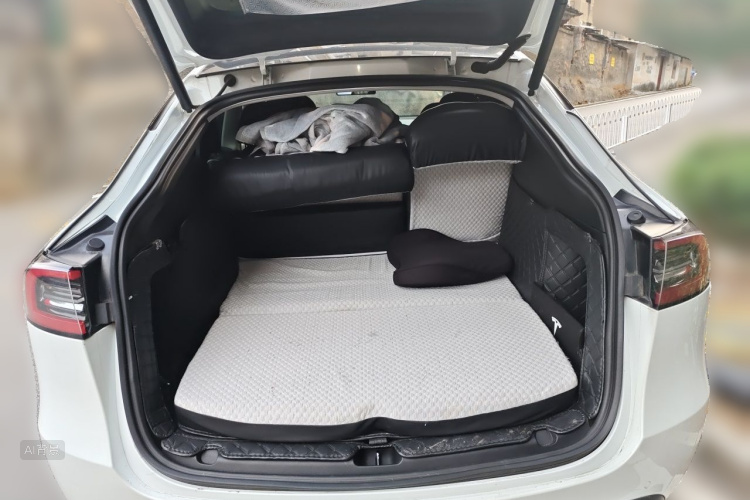 Tesla Model Y 2021 car image #21