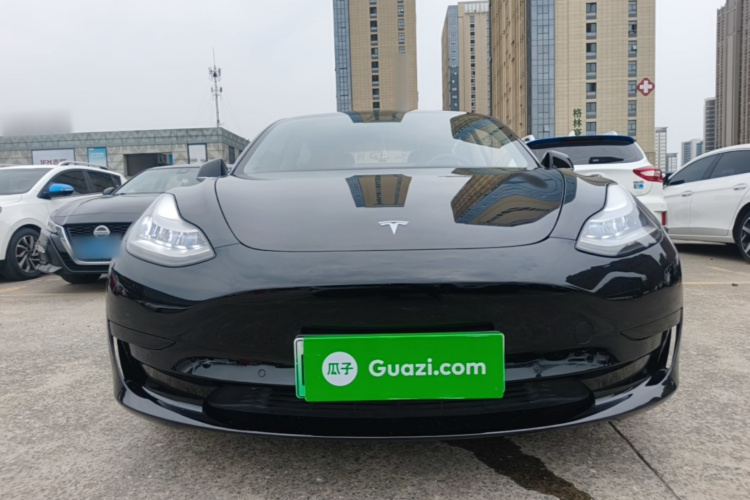 Tesla Model 3 2020 immagine di auto #3