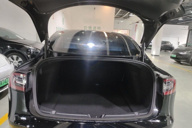 Tesla Model 3 2021 car image #19