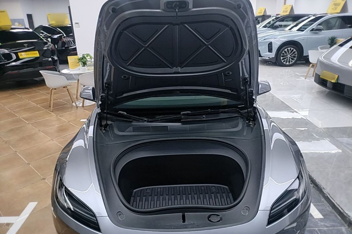 Tesla Model 3 2025 car image #11