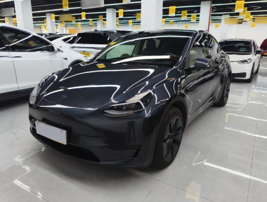 Tesla Model Y 2024 Tesla Model Y 2024 car image