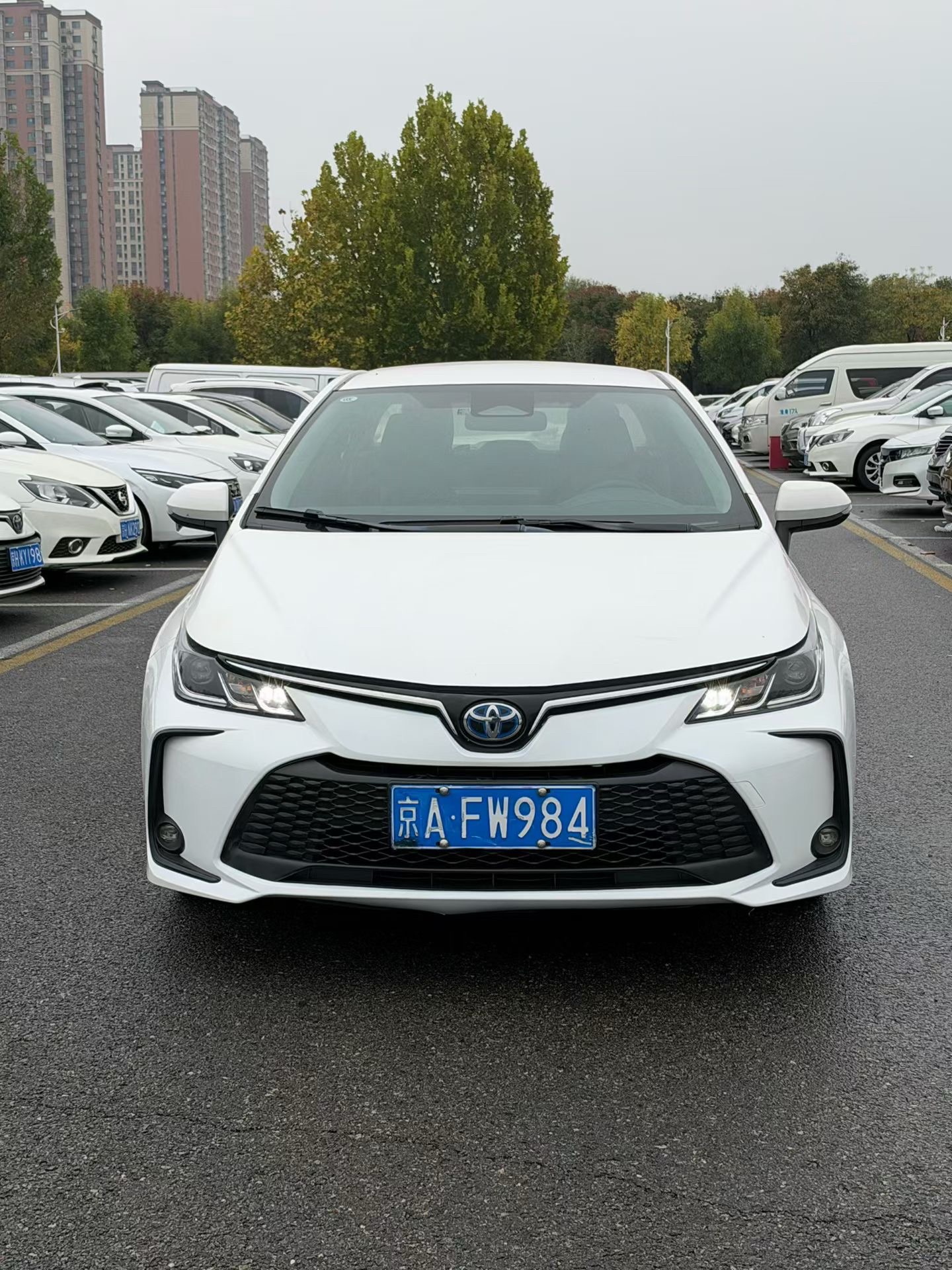 Toyota Corolla 2023 #3 Toyota Corolla 2023 car image #3