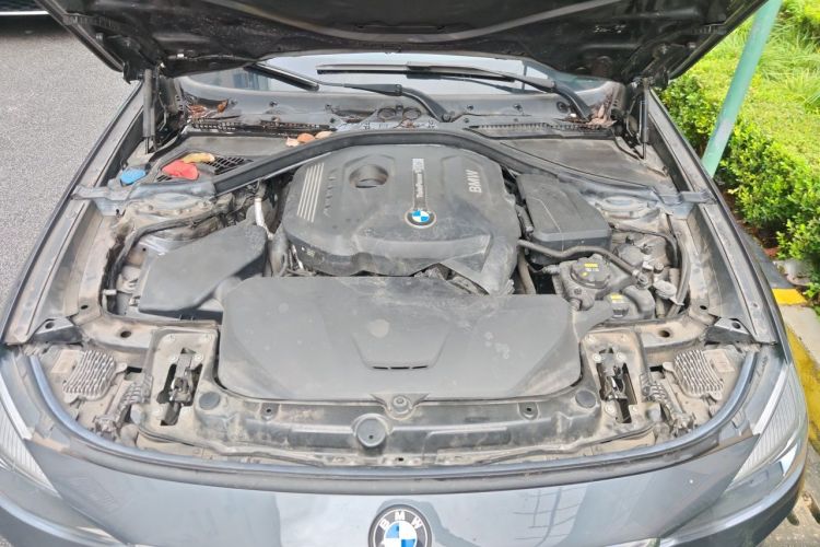 BMW 3 Series GT 2019 car image #22