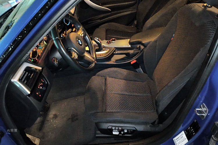 BMW 3 Series 2018 car image #17