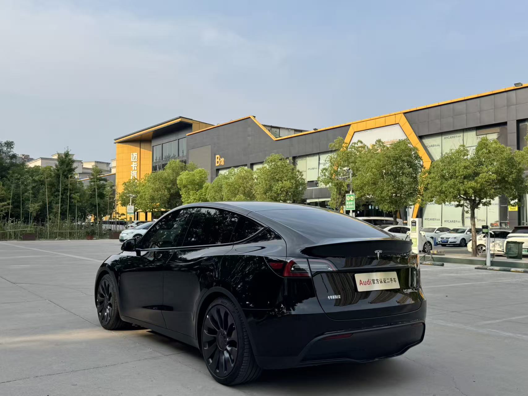Tesla Model Y 2022 immagine di auto #8