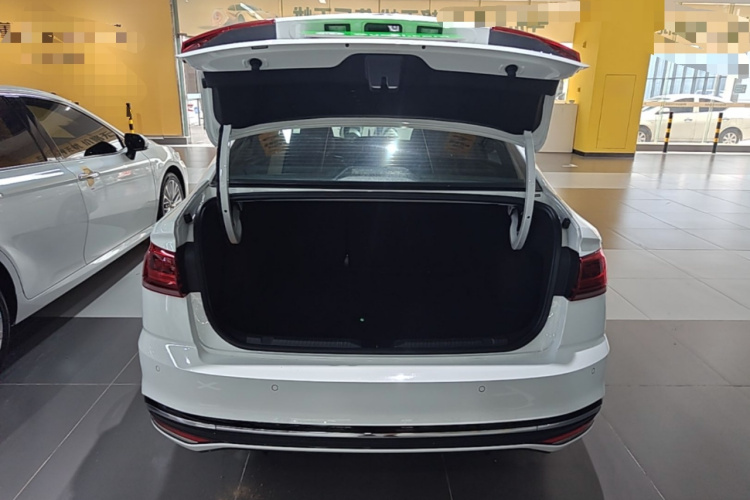 Volkswagen Bora 2023 car image #19