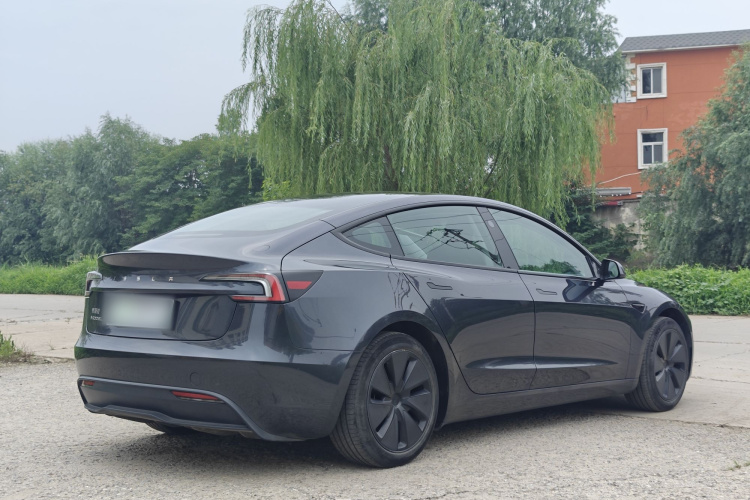 Tesla Model 3 2024 car image #6