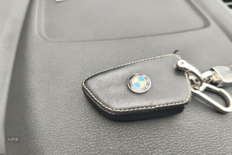 BMW X1 2021 car image #10