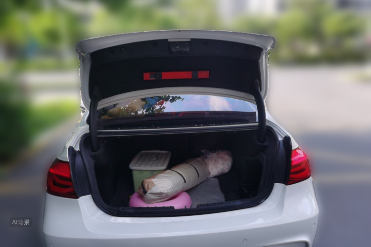 BMW 3 Series 2017 #21 BMW 3 Series 2017 car image #21