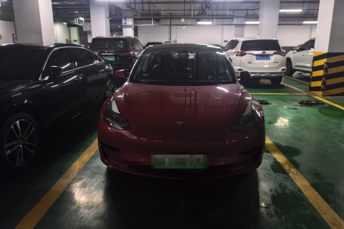 Tesla Model 3 2021 immagine di auto #2