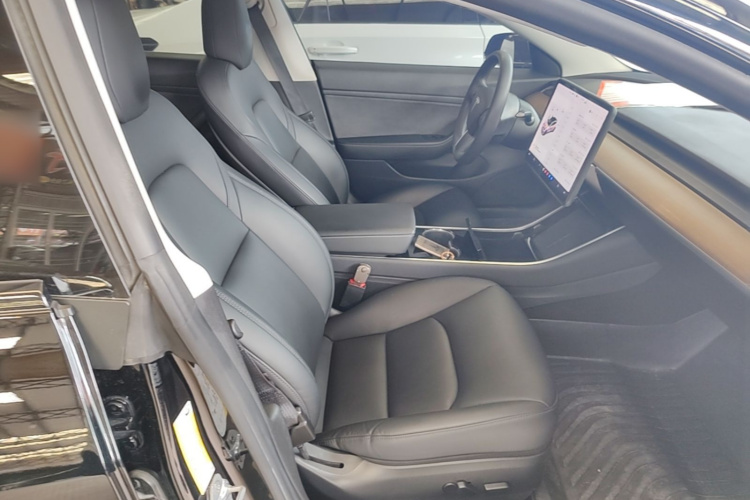Tesla Model 3 2020 car image #24