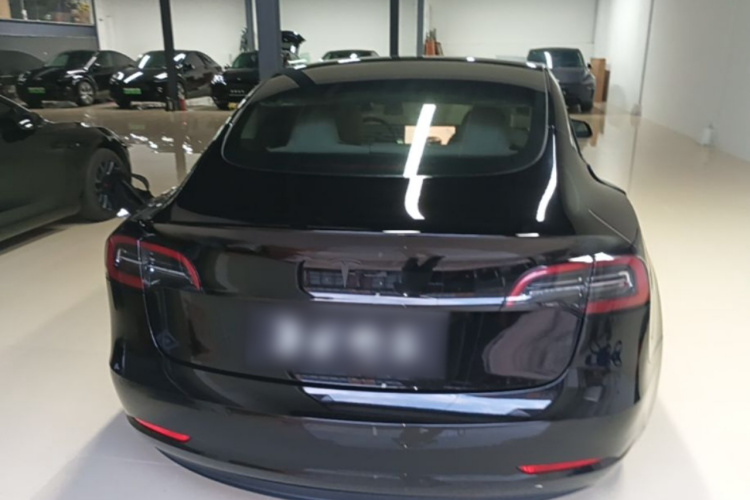 Tesla Model 3 2022 car image #6