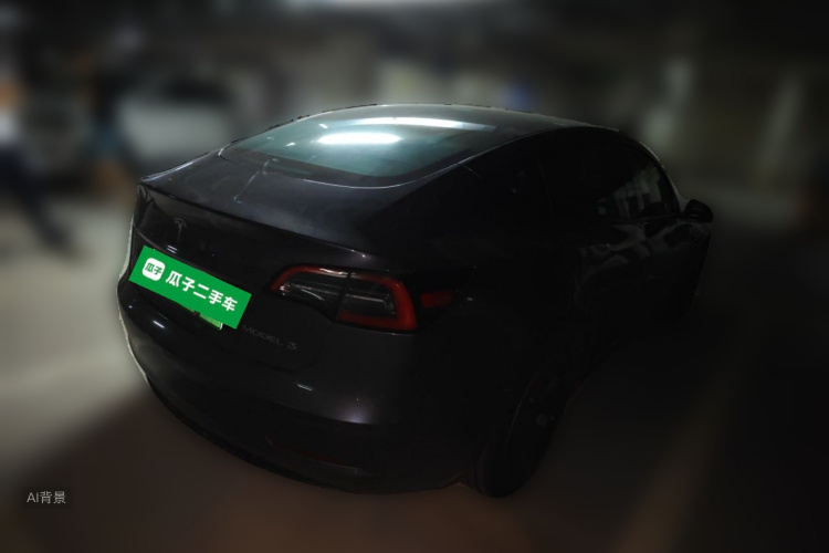 Tesla Model 3 2022 car image #7