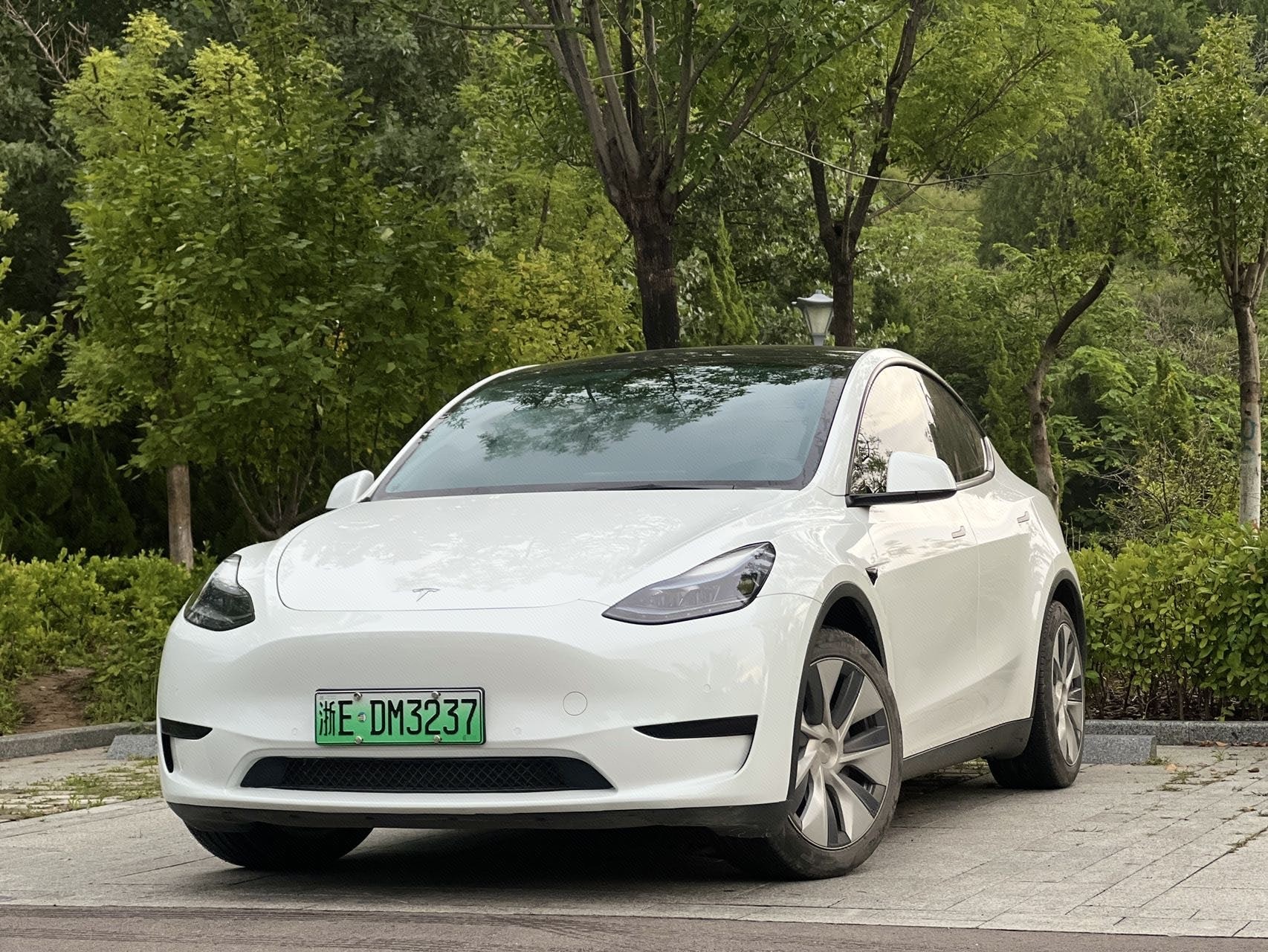 Tesla Model Y 2022 car image 