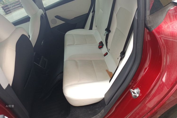 Tesla Model 3 2024 car image #19