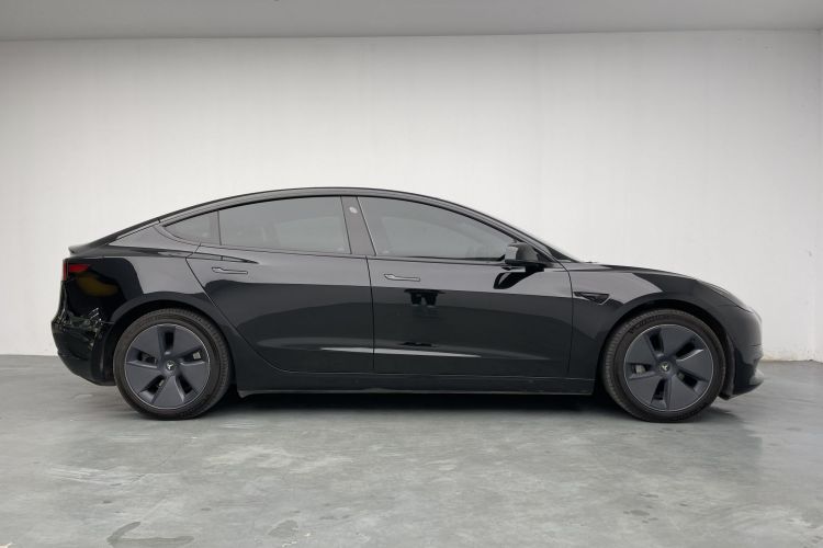 Tesla Model 3 2021 car image #11