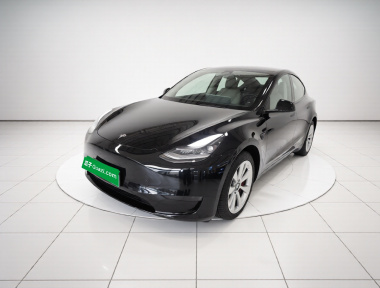 Tesla Model Y 2022 car image 