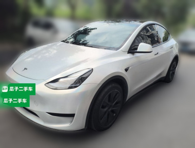 Tesla Model Y 2023 Tesla Model Y 2023 car image
