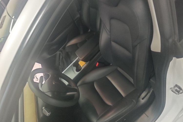 Tesla Model 3 2021 car image #15