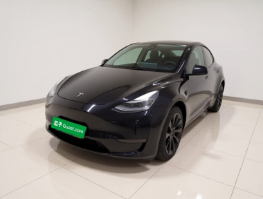 Tesla Model Y 2021 car image 
