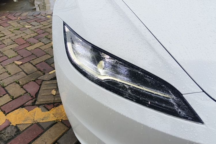 Tesla Model 3 2024 #8 Tesla Model 3 2024 car image #8