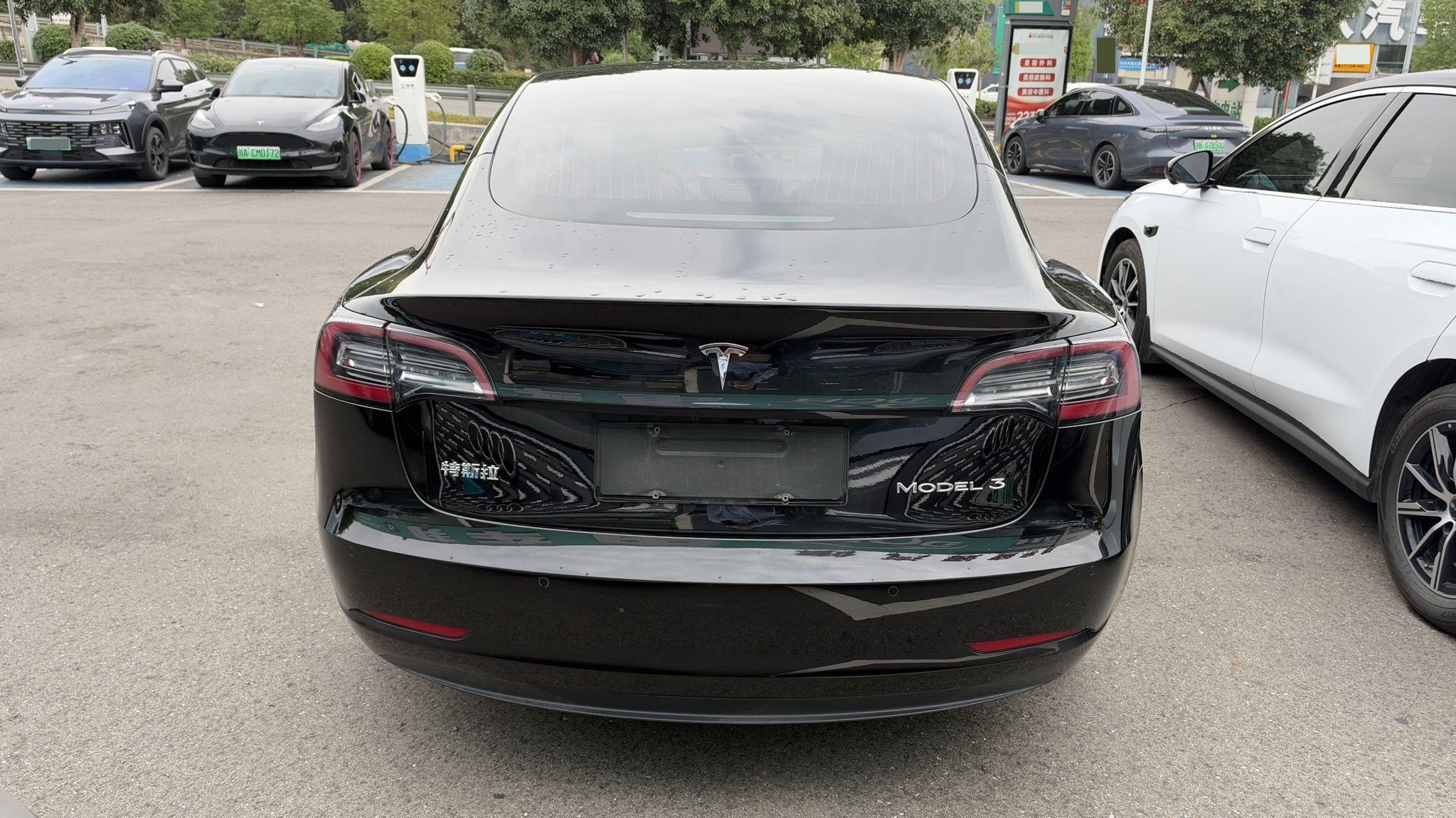 Tesla Model 3 2020 #5 Tesla Model 3 2020 car image #5