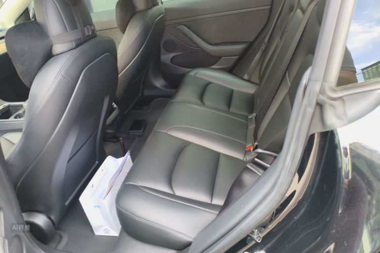 Tesla Model 3 2021 car image #19