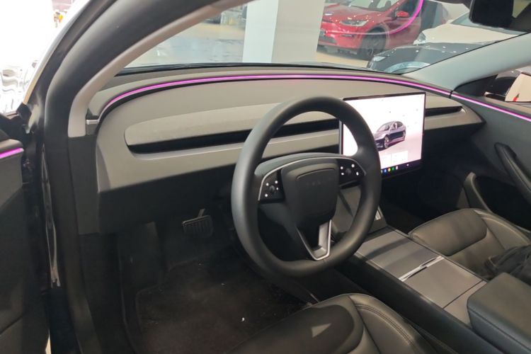 Tesla Model 3 2024 immagine di auto #11