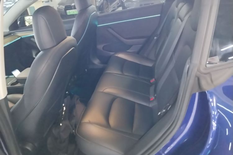 Tesla Model 3 2021 car image #17