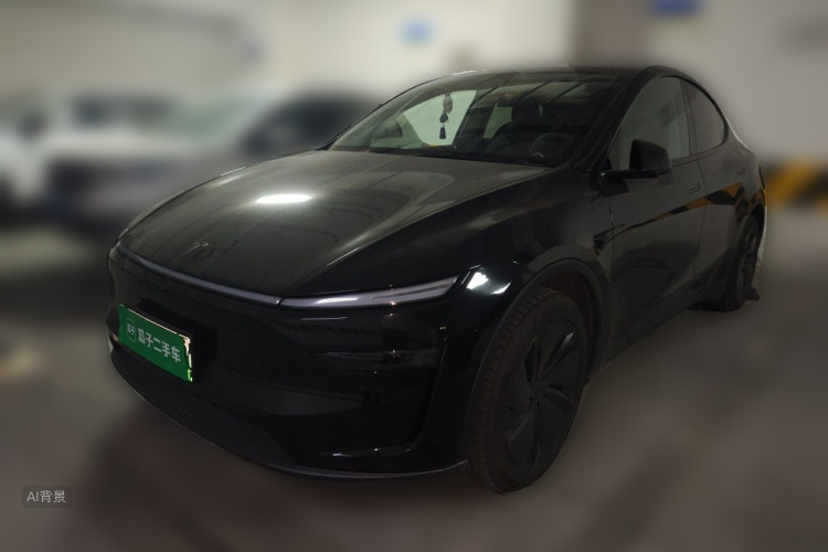 Tesla Model Y 2025 car image #2