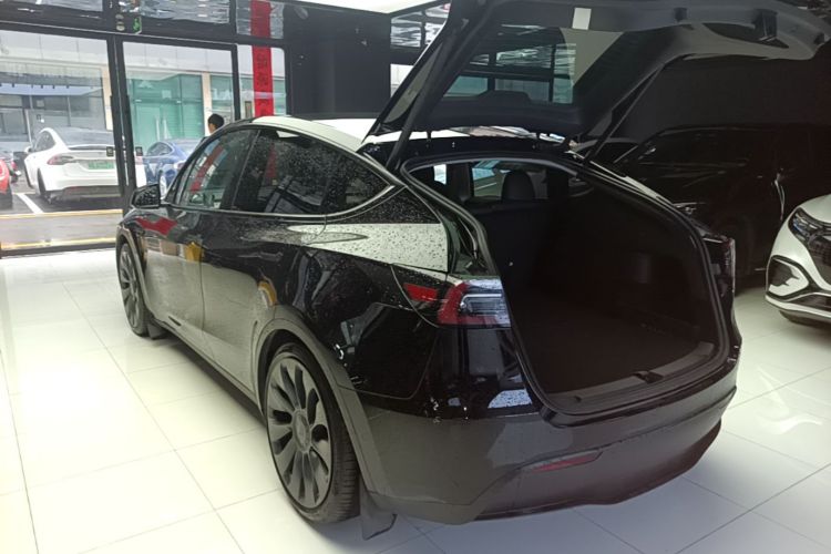 Tesla Model Y 2021 car image #5