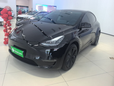 Tesla Model Y 2023 immagine di auto 