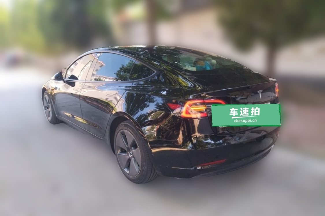 Tesla Model 3 2023 #3 Tesla Model 3 2023 car image #3