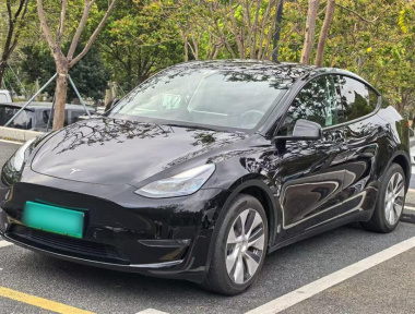 Tesla Model Y 2022 汽车图片 