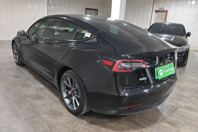 Tesla Model 3 2023 #5 Tesla Model 3 2023 car image #5