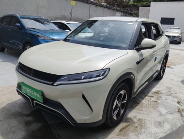 BYD YuanUP 2024 BYD YuanUP 2024 car image