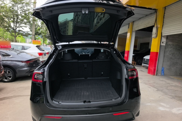 Tesla Model Y 2021 car image #19