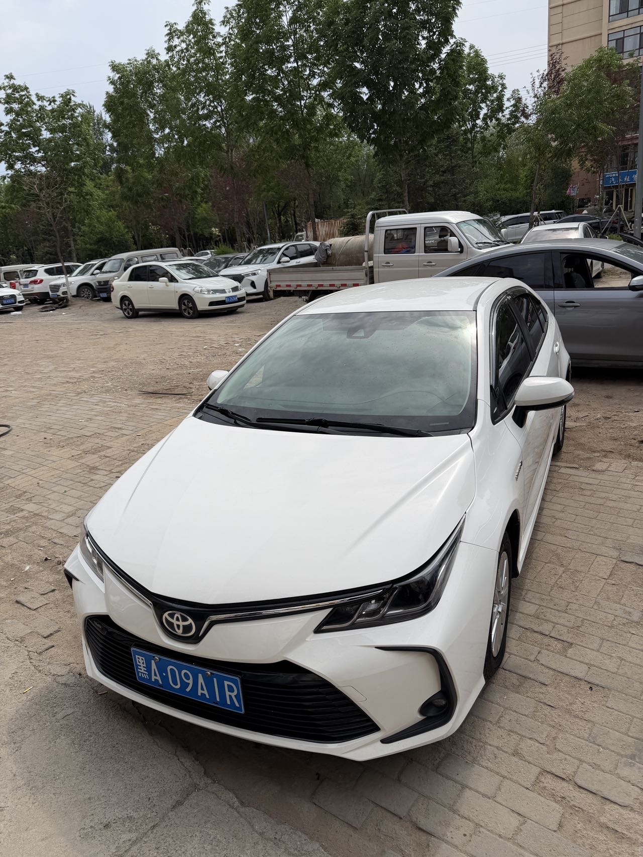 Toyota Corolla 2023 car image 