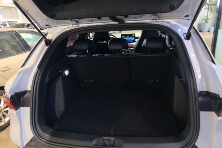 BYD Yuan Plus 2022 car image #19