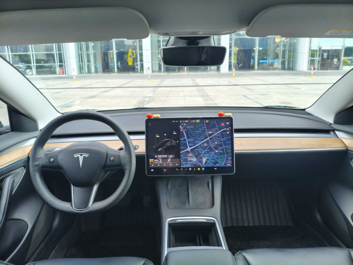 Tesla Model 3 2022 #5 Tesla Model 3 2022 car image #5