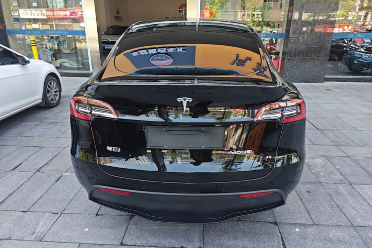 Tesla Model Y 2022 car image #6