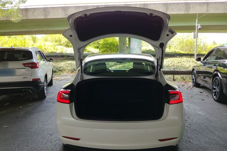 Tesla Model 3 2020 #21 Tesla Model 3 2020 immagine di auto #21
