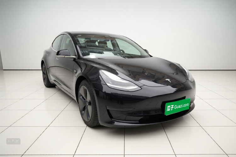 Tesla Model 3 2020 car image #4