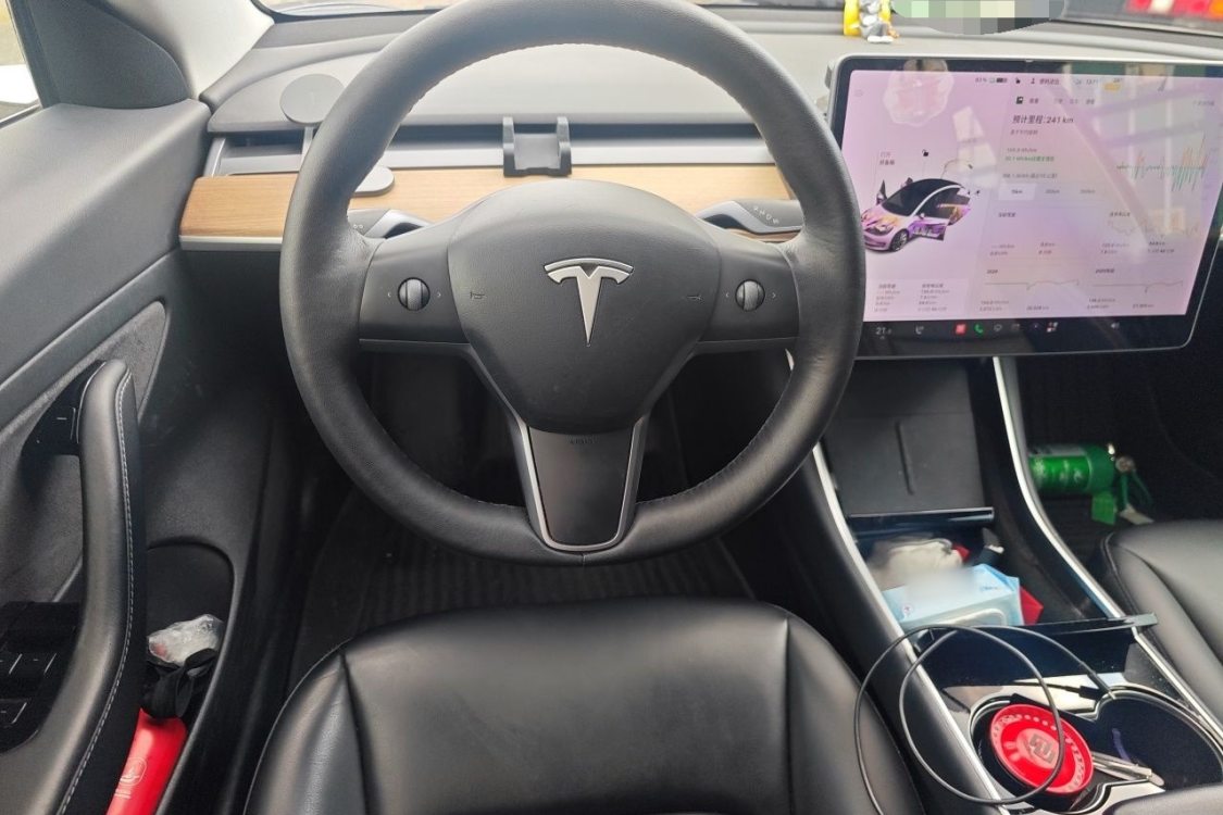 Tesla Model 3 2020 #22 Tesla Model 3 2020 car image #22