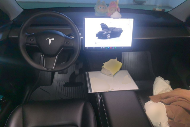 Tesla Model Y 2022 car image #7