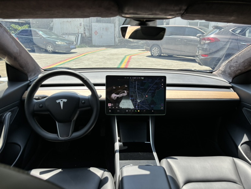Tesla Model 3 2020 car image #11