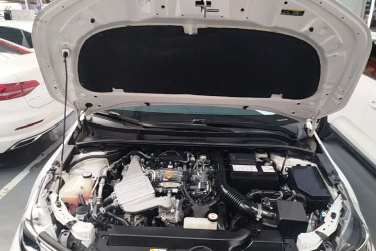 Toyota Corolla 2022 car image #20
